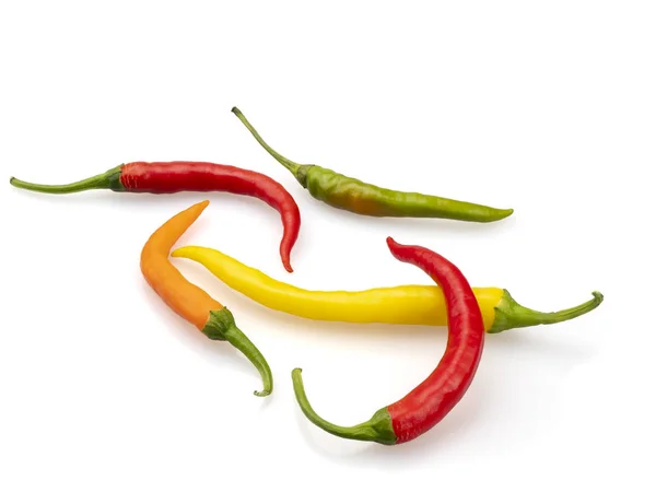 Chili peper op een witte achtergrond. Kruidig eten. — Stockfoto