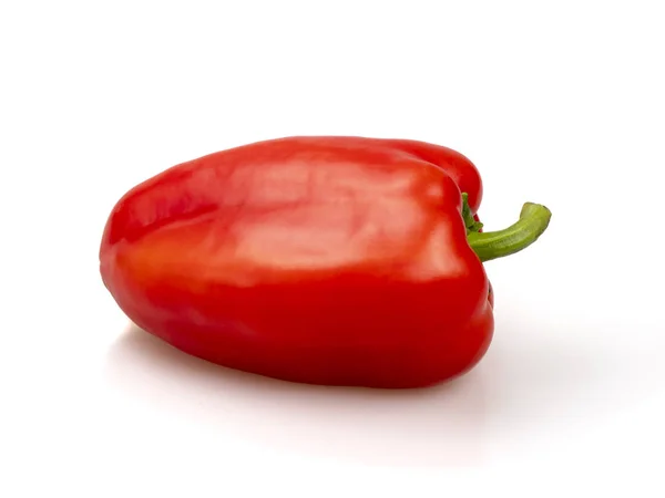 Paprika van rode kleur. Op een witte achtergrond — Stockfoto