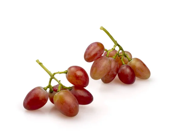 Uvas rosadas maduras. Dos racimos de bayas maduras . — Foto de Stock