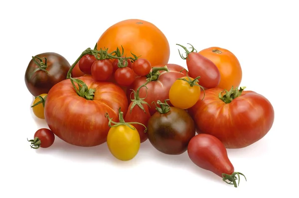 Tomaten verschiedener Sorten. sortiert. — Stockfoto