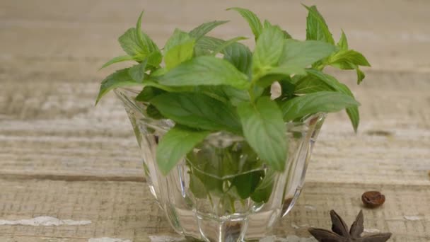 Fragrant Spices Green Sprigs Mint Star Anise Anise Star Cinnamon — Stock Video