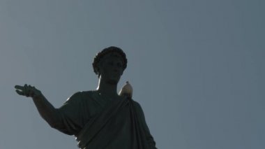 Beyaz bir güvercin mavi gökyüzüne karşı bir heykelin omzunda oturur. Anıtın üzerinde kuş var. Şehir cazibe.