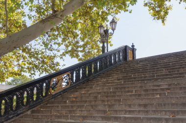 Üzerine düşen yapraklar olan merdivenler.