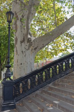 Güzel korkulukile Merdiven.