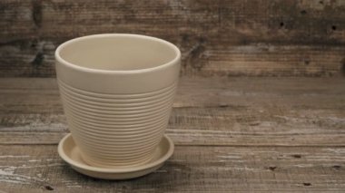 Bir tencereye bitki dikmek. Seramik bir tencereye açık kök sistemine sahip bir bitki kurulur. Soğanlı amaryllis çiçek.