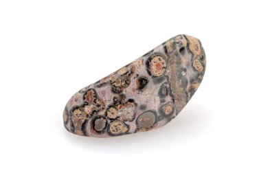 Beyaz arka planda leopar jasper.
