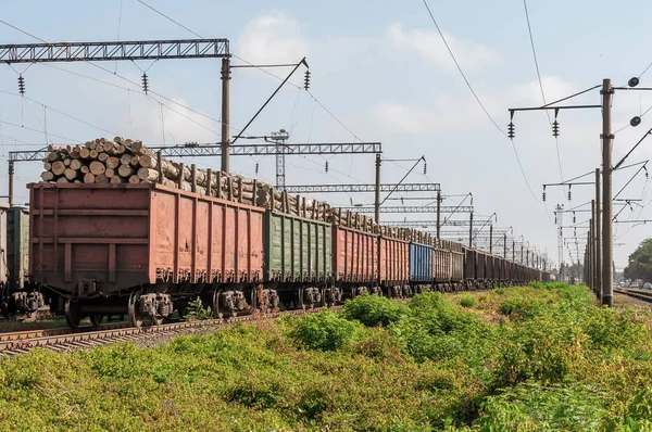 Railway tracks, wagons loaded with logs on rails.