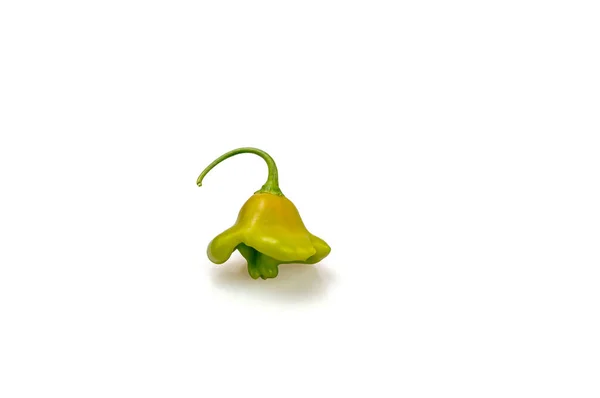 Hot green bell peppers on a white background. — Stock Photo, Image