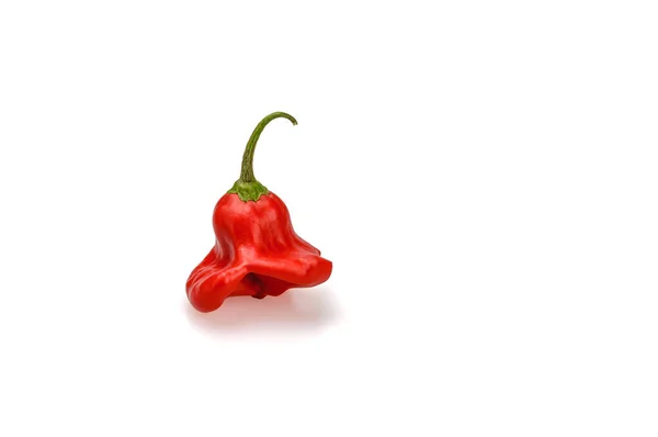 Hot rode paprika 's op een witte achtergrond. — Stockfoto