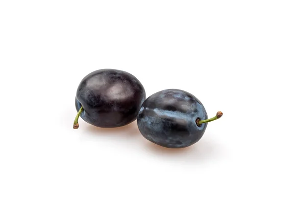 Deux prunes violettes bio sur fond blanc . — Photo