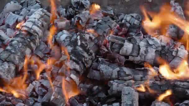 Fuego Carbones Llamas Amarillas Troncos Madera Quemados Incendio — Vídeo de stock