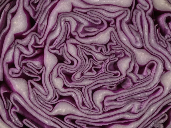 Slice red cabbage closeup. Bright organic vegetable.