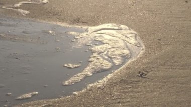 Köpük dalgası kumlu kıyıya emilir..