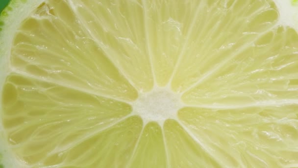 Lime slice. Macro . The heart of a citrus fruit. — Stock Video