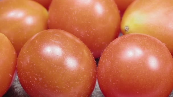 Tomates de cereja fecham. Legumes maduros. Legumes em miniatura. — Vídeo de Stock