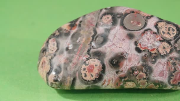 Jasper leopardo primer plano sobre un fondo verde. Riolita mineral de piedra decorativa y ornamental. — Vídeos de Stock