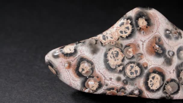 Jasper leopard close-up. Mineral on a dark background. Decorative and ornamental stone riolite. — Stock Video