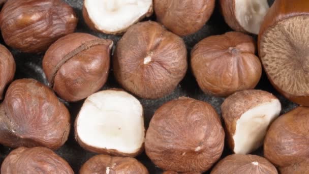 Een close-up van hazelnoten. Heel veel noten. Hele korrels en helften. geschilde en ongepelde noten. — Stockvideo