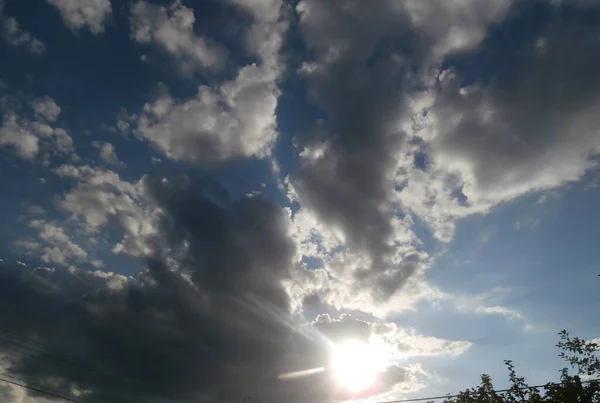 Dal, gökyüzü, bulutlar, doğa 1