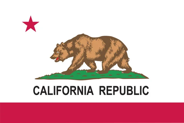 California bayrak vektör — Stok Vektör