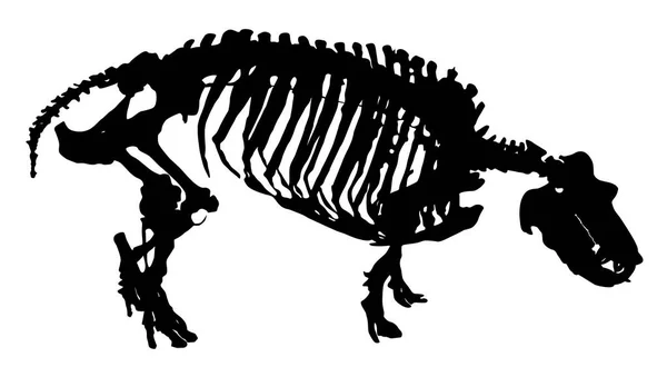Szkielet Hipopotam Wektor Ilustracja — Wektor stockowy