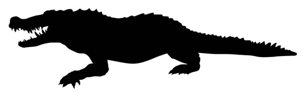 Silhueta Vetor Crocodilo Animal Ilustração —  Vetores de Stock