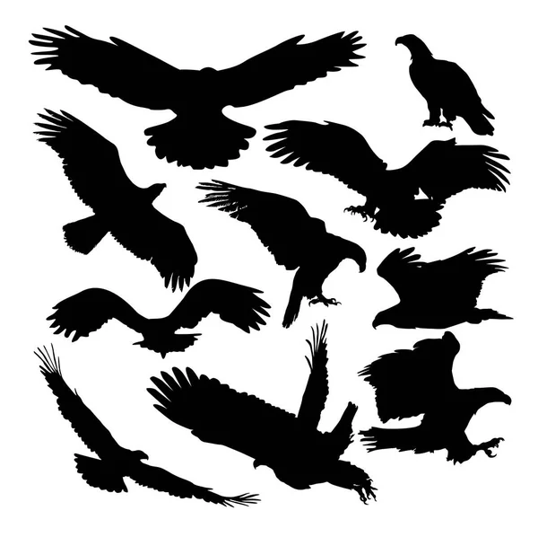 Zestaw Sylwetki Ptaka Orzeł Różnych Pozycjach Wektor Ilustracja — Wektor stockowy