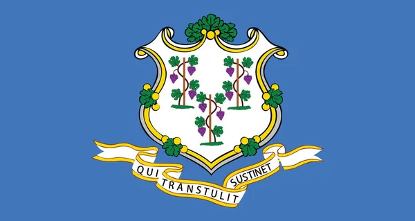 Флаг Векторной Иллюстрации Американского Штата Коннектикут — стоковый вектор