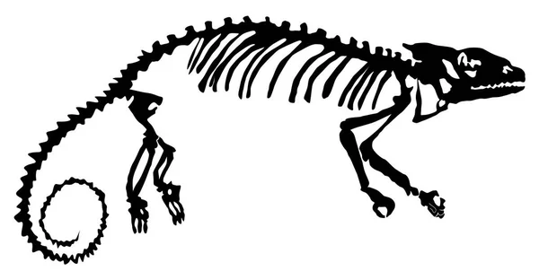 Het Silhouet Van Het Skelet Van Kameleon Vector Illustratie — Stockvector