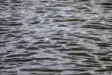 Yeşil dalga ve Diffün yansıma