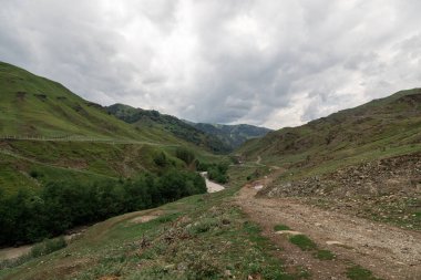 Nehirli Dağ manzarası. Dağ nehrinin manzarası.