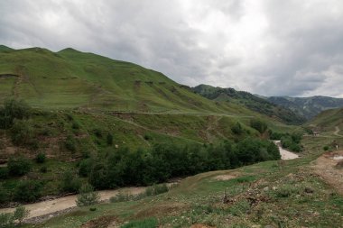 Nehirli Dağ manzarası. Dağ nehrinin manzarası.
