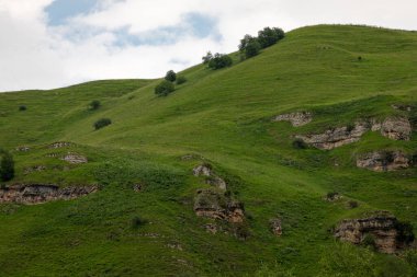Mavi gökyüzü olan dağ manzarası. Yeşil tepelerin panoramik manzarası.