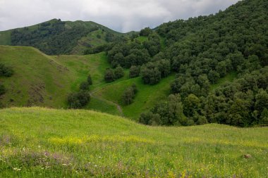 Mavi gökyüzü olan dağ manzarası. Yeşil tepelerin panoramik manzarası.