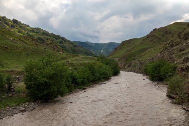 Nehirli Dağ manzarası. Dağ nehrinin manzarası.