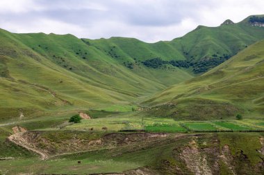 Mavi gökyüzü olan dağ manzarası. Yeşil tepelerin panoramik manzarası.