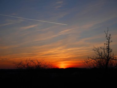 günbatımı orman ve uçaktan iz
