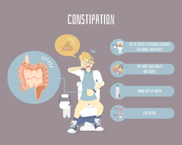 kabızlık ile sifon tuvalette kullanan adam, büyük ve ince bağırsak, iç organları anatomi vücut parçası, sağlık infografik dışkı kavramı, vektör illüstrasyon çizgi film düz karakter tasarımı