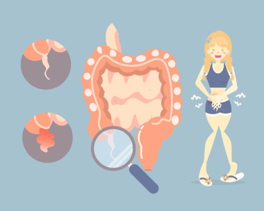 karın sağ tarafında mide ağrısı olan kadın, kalın apandisit belirtileri, ince bağırsak ve apandisit, iç organ anatomisi, vektör illüstrasyon düz karakter tasarım infografik
