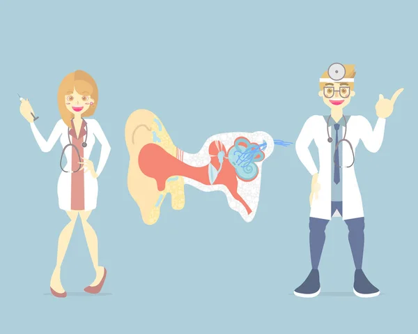Male and female doctor with ear, internal organs anatomy body part nervous system, vector illustration cartoon flat character design clip art — Stock Illustration Male Female Doctor Ear Internal Organs Anatomy Body Part Nervous Royalty Free Stock Illustrations