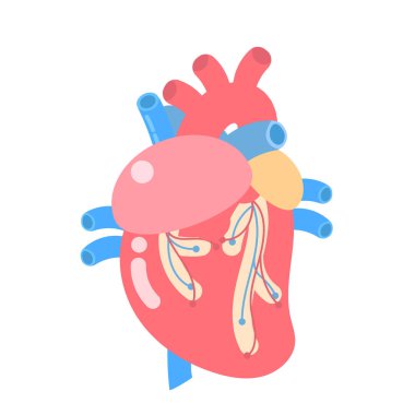 tıbbi iç organlar vücut parçası sinir sistemi anatomisi cerrahi insan kalp sağlığı logo etiket simgesi, düz vektör illüstrasyon karikatür tasarım küçük resim