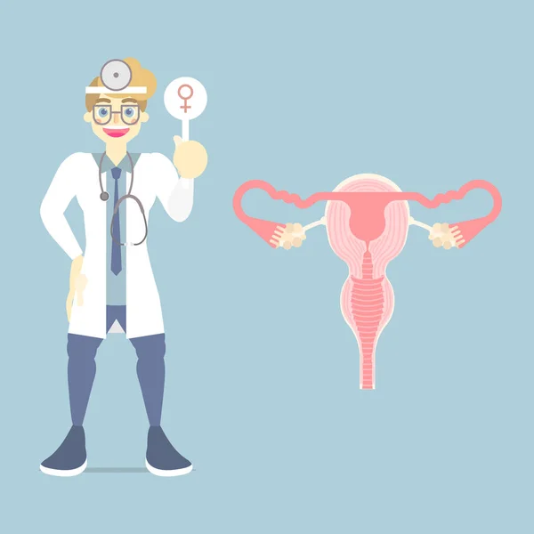 Médico Segurando Sinal Mulher Com Sistema Reprodutivo Feminino Órgãos Internos — Vetor de Stock