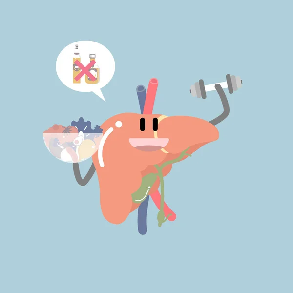 健康な肝臓 内臓解剖学体の一部神経系 インフォグラフィック ヘルスケアの概念 フラットキャラクターデザインクリップアートベクトルイラスト漫画 — ストックベクタ