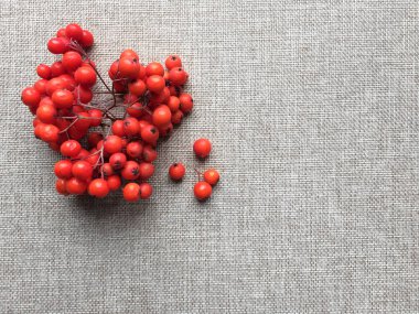 Hafif bir arka plan üzerinde dağ kül.