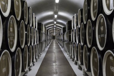 Massandra fabrikasının şarap mahzeninde varil