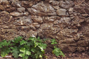 Dağ taş desen ve doku