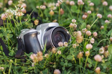 çim ve çiçek arka kamera