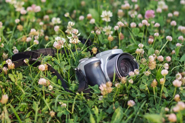 camera on grass and flowers background
