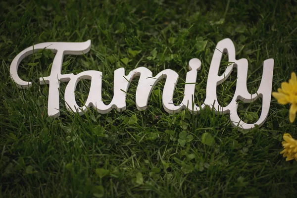 Family Wood Word Grass Background — Stock Photo, Image