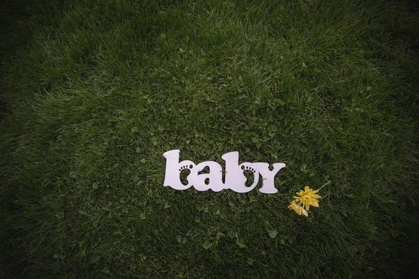 baby wood word on grass background